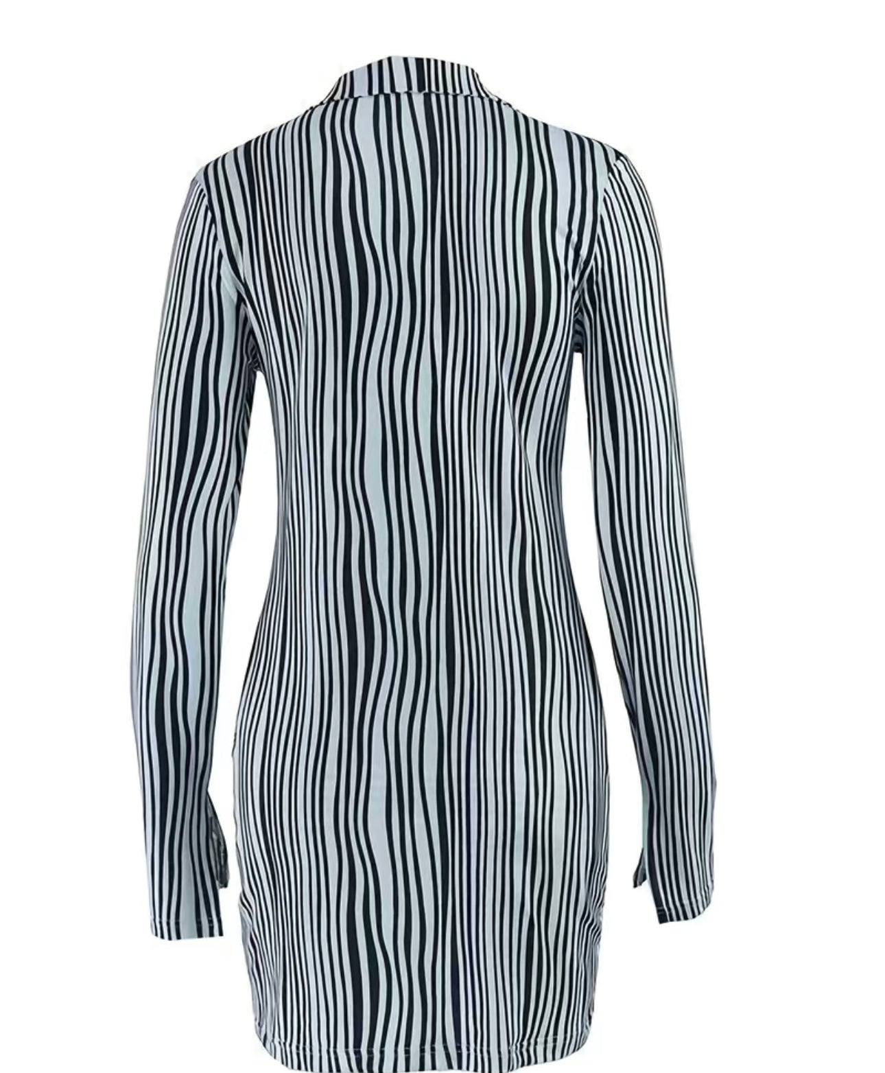 Sexy zebra Striped Two-piece Set, Long Sleeve Button Shirt & Slim High Waist Skirt